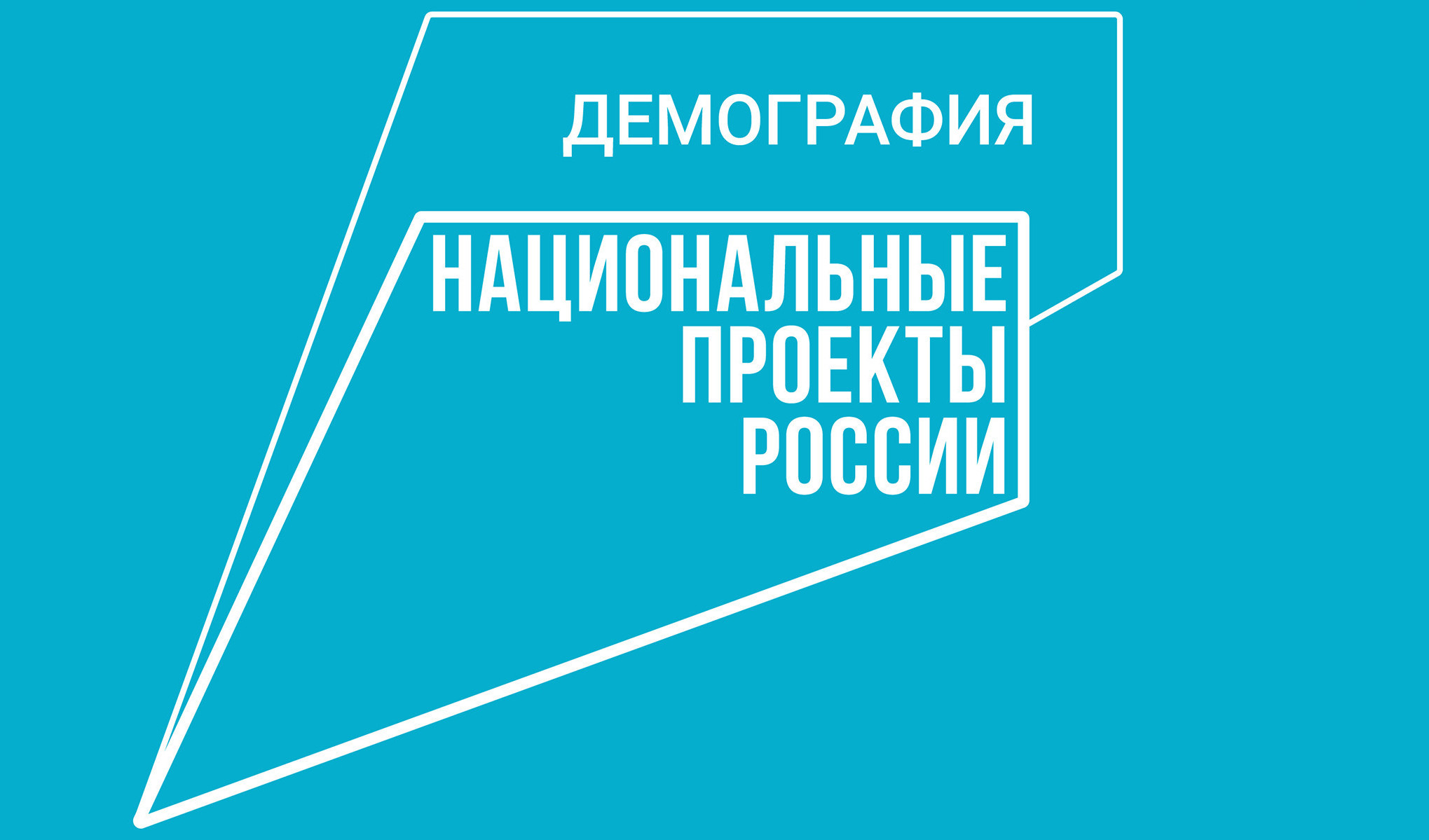 В рамках нацпроекта «Демография» в 2024 г. службы занятости Минтруда Дагестана организовали профессиональное обучение для 1180 человек