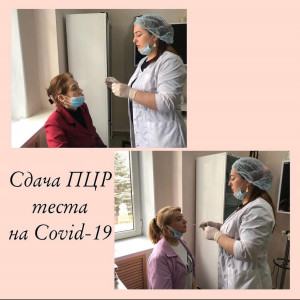 Сбор анализа на ПЦР 2022