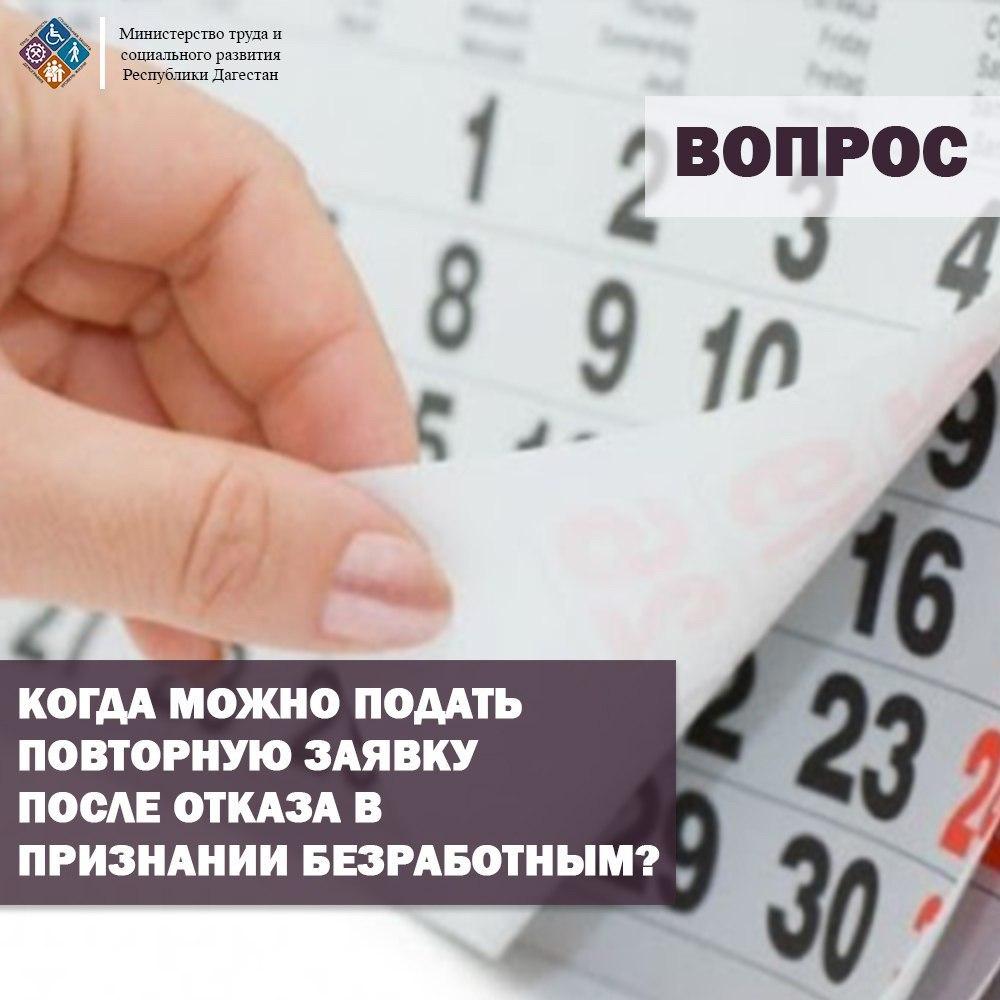 Когда можно подать повторную заявку после отказа в признании безработным?  